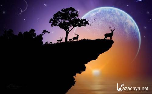 Best HD Wallpapers Pack �1221