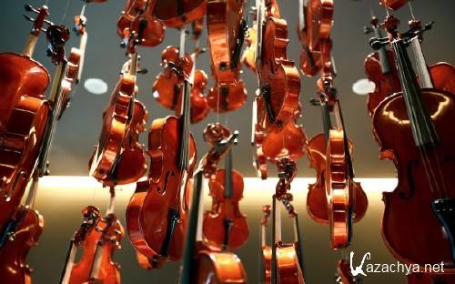 Best HD Wallpapers Pack �1224