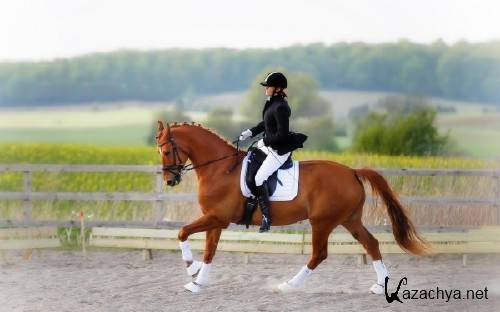 Best HD Wallpapers Pack №1229 Best HD Wallpapers Pack №1229