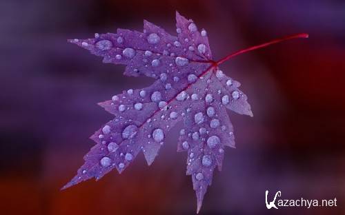 Подборка обоев и картинок на рабочий стол и фото Подборка обоев и картинок на рабочий стол и фото