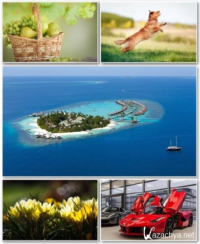 Best HD Wallpapers Pack 1239