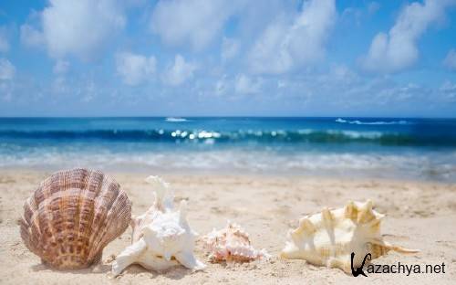 Best HD Wallpapers Pack �1254