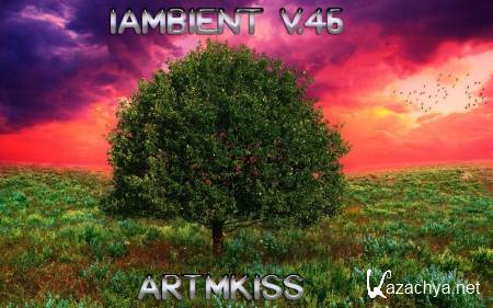 IAmbient v.46 (2014)