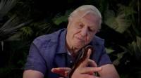     / Micro Monsters with David Attenborough (2013 / 1   6) BDRip
