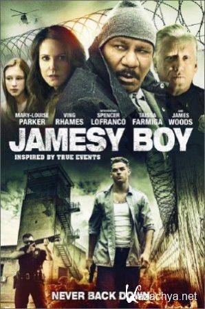  / Jamesy Boy (2013/WEBRip)
