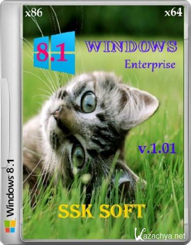 Windows 8.1 Enterprise SSK Soft x86/x64 v.1.01 (2014/RUS)