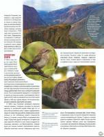   ���� ����� � ����� 013. ��������� ���������� (PDF) 