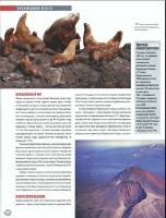   ���� ����� � ����� 015. ����-���������� �������� (PDF) 