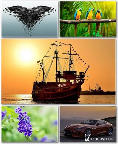 Best HD Wallpapers Pack 1268