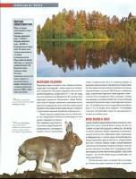   ���� ����� � ����� 16. ���������� ������������ ���� (PDF) 