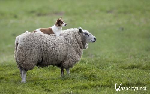 ����� ������� ��������������� ����� � ���� ��� �������� ����� ������ 329