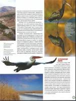 Наша флора и фауна 019. Дагестанский заповедник (PDF) Наша флора и фауна 019. Дагестанский заповедник (PDF)