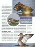   ���� ����� � ����� 022. ������� ������������ ���� (PDF) 