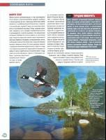   ���� ����� � ����� 021. ������������� ���������� (PDF) 