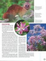   ���� ����� � ����� 020. ���������� ���������� (PDF) 