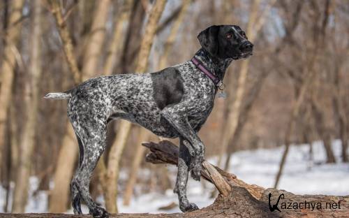 Издание широкоформатны фото, подборка обоев для рабочего стола выпуск 338 Издание широкоформатны фото, подборка обоев для рабочего стола выпуск 338