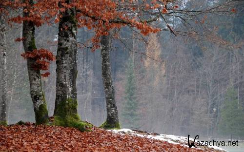 Издание широкоформатны фото, подборка обоев для рабочего стола выпуск 338 Издание широкоформатны фото, подборка обоев для рабочего стола выпуск 338
