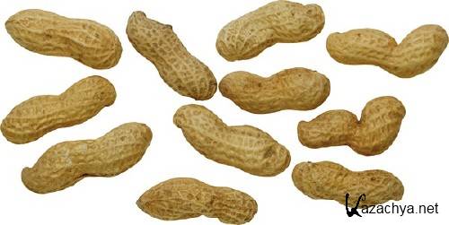 �����: ������ (�������� �����������)