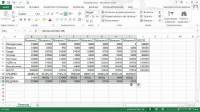 MS Excel 2013   (2014) MP4