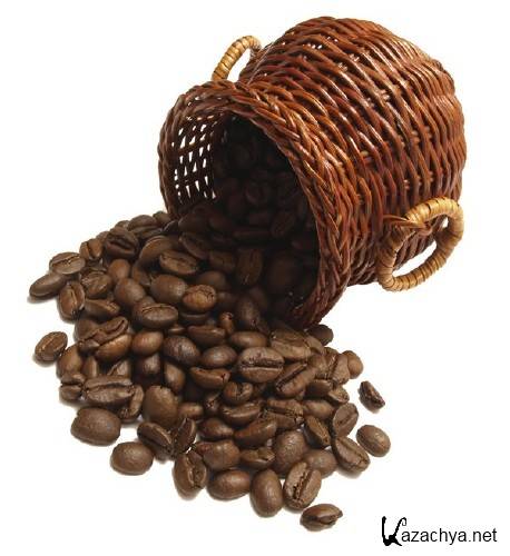 ��������: ����� ����