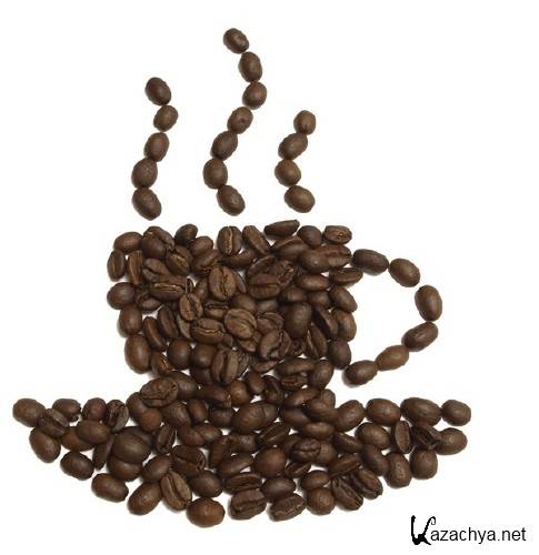 ��������: ����� ����