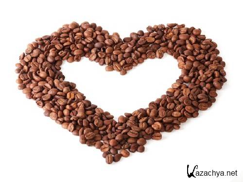 ��������: ����� ����