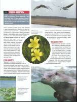  ���� ����� � ����� 30. ���������� ���������� 