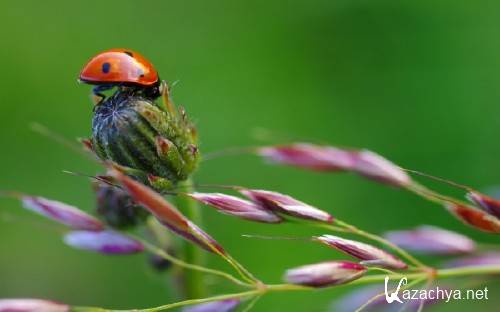 Best HD Wallpapers Pack �1311