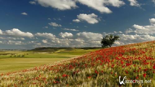 Обои с прекрасными уголками природы 893 Обои с прекрасными уголками природы 893