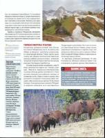  ���� ����� � ����� 32. ������������ ���������� 