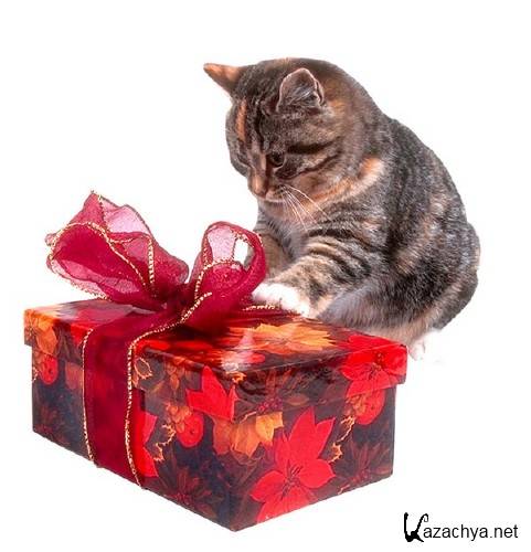 Коты, собаки, кролики и подарки (подборка клипарта) Коты, собаки, кролики и подарки (подборка клипарта)