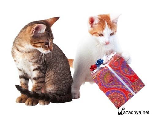 Коты, собаки, кролики и подарки (подборка клипарта) Коты, собаки, кролики и подарки (подборка клипарта)