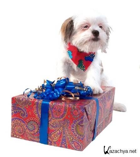 Коты, собаки, кролики и подарки (подборка клипарта) Коты, собаки, кролики и подарки (подборка клипарта)