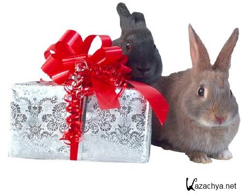 Коты, собаки, кролики и подарки (подборка клипарта) Коты, собаки, кролики и подарки (подборка клипарта)