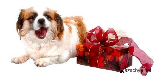 Коты, собаки, кролики и подарки (подборка клипарта) Коты, собаки, кролики и подарки (подборка клипарта)