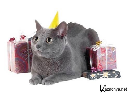 Коты, собаки, кролики и подарки (подборка клипарта) Коты, собаки, кролики и подарки (подборка клипарта)