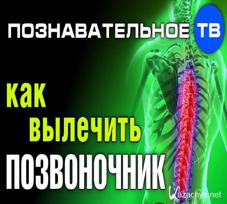 Вертебролог что лечит. Излечить позвоночник как вылечить. Вылечил позвоночник игрушкой. Как лечить позвоночник китайские старцы. Как лечить позвоночник Божия аптека.