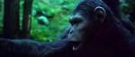  :  / Dawn of the Planet of the Apes (2014) TS