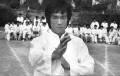   / Bruce Lee (2012) SATRip