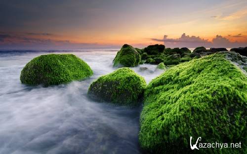 ���� � ����������� �������� ������� 918