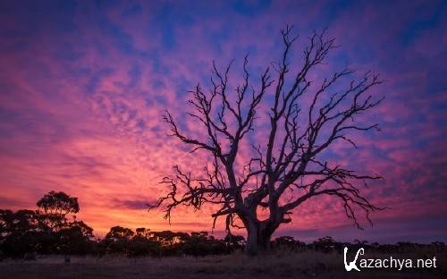 ���� � ����������� �������� ������� 918