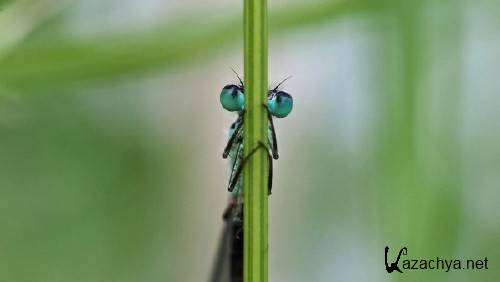 ����� ���������� ��� ��������� ���� �������� ����� 78