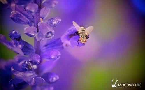 ����� ���������� ��� ��������� ���� �������� ����� 78