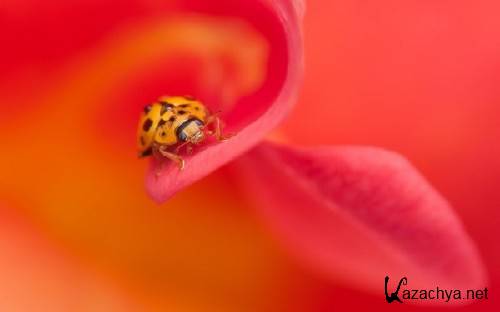 ����� ���������� ��� ��������� ���� �������� ����� 78