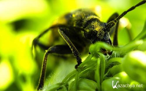 ����� ���������� ��� ��������� ���� �������� ����� 78