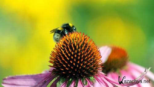 ����� ���������� ��� ��������� ���� �������� ����� 78