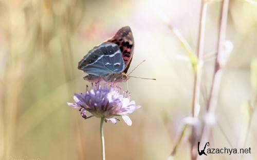 ����� ���������� ��� ��������� ���� �������� ����� 78