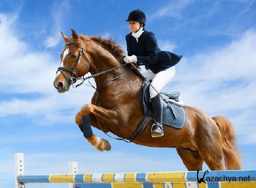 ���������� ���� � ������ (��������)