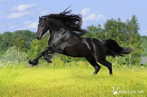 ���������� ���� � ������ (��������)