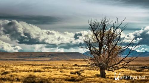 ���� �������� �������� ������� �������� �� ������� ���� ������ 177